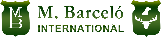 logotipo-mariano-barcelo-INTERNATIONAL